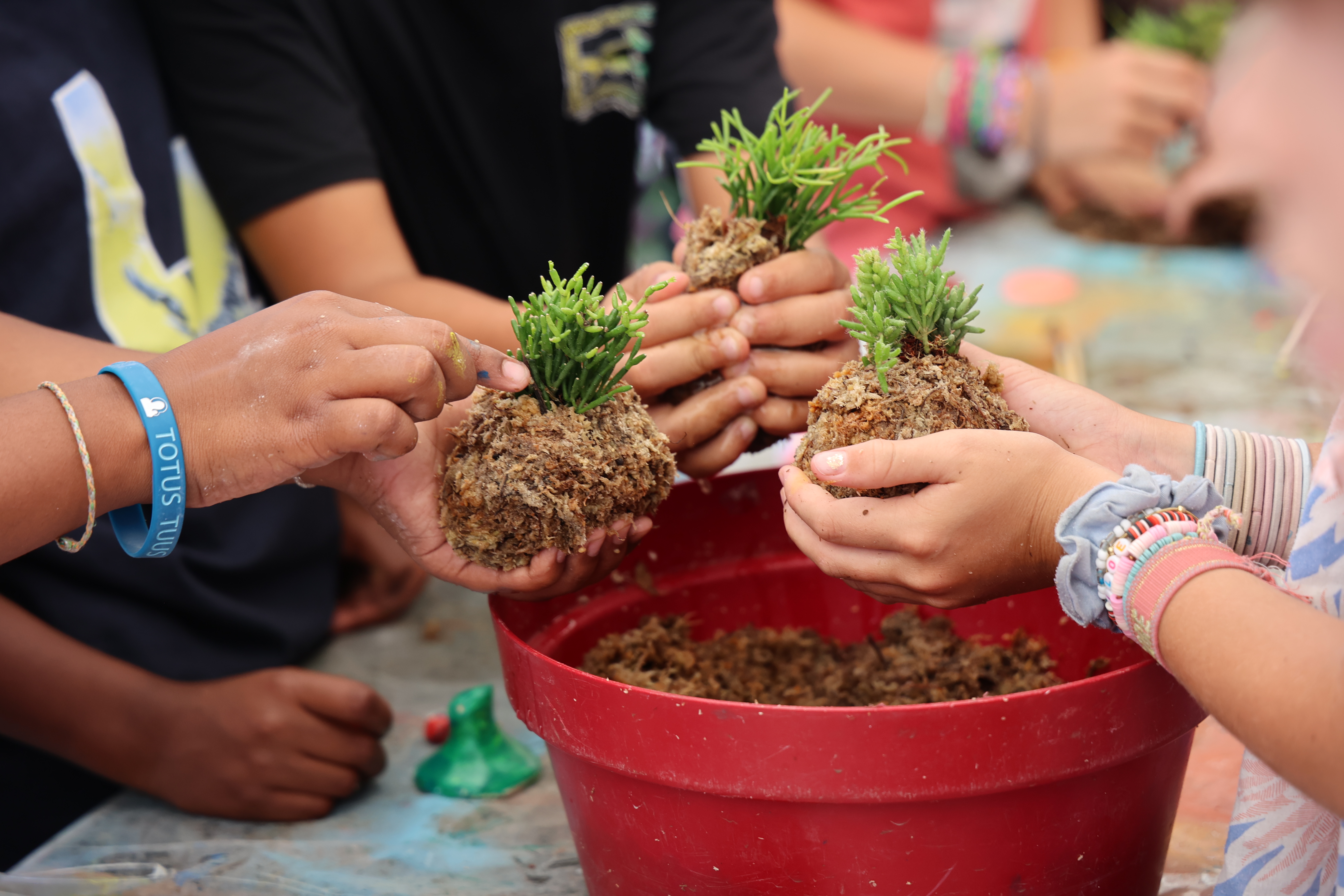 Atelier Kokedama - école Francis Rivière