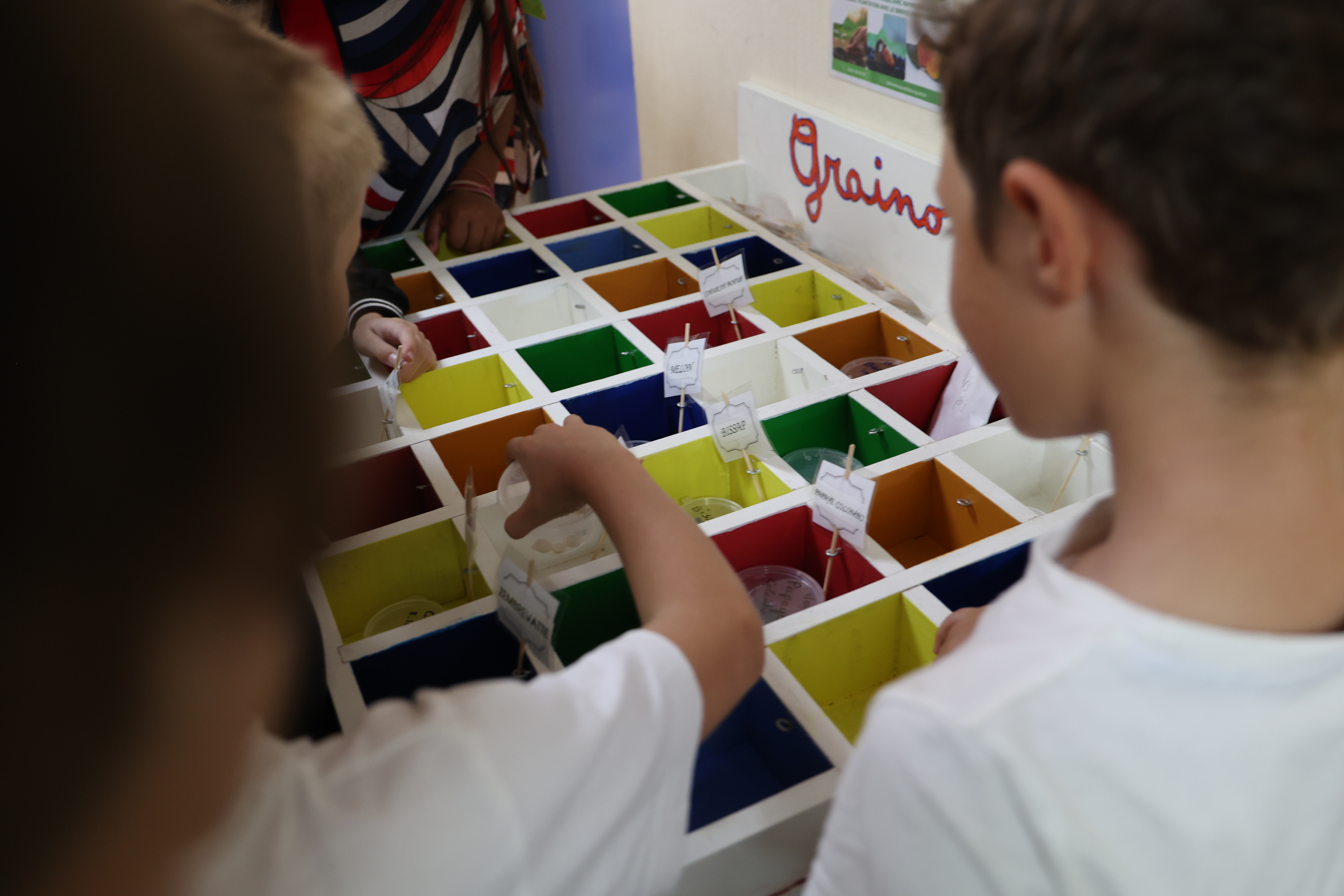 Grainothèque de la bibliothèque André Malraux 