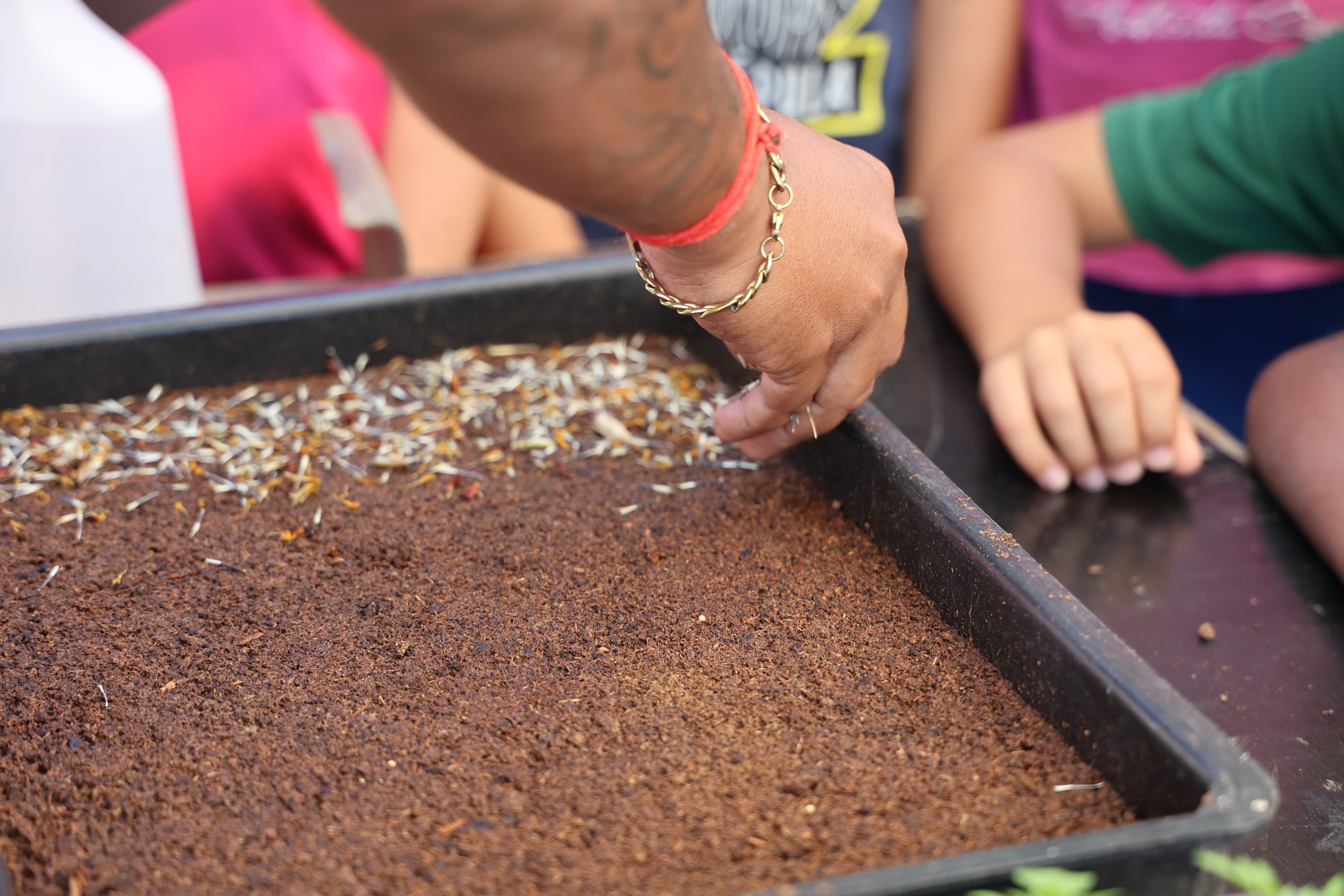 Atelier semis avec le service environnement 
