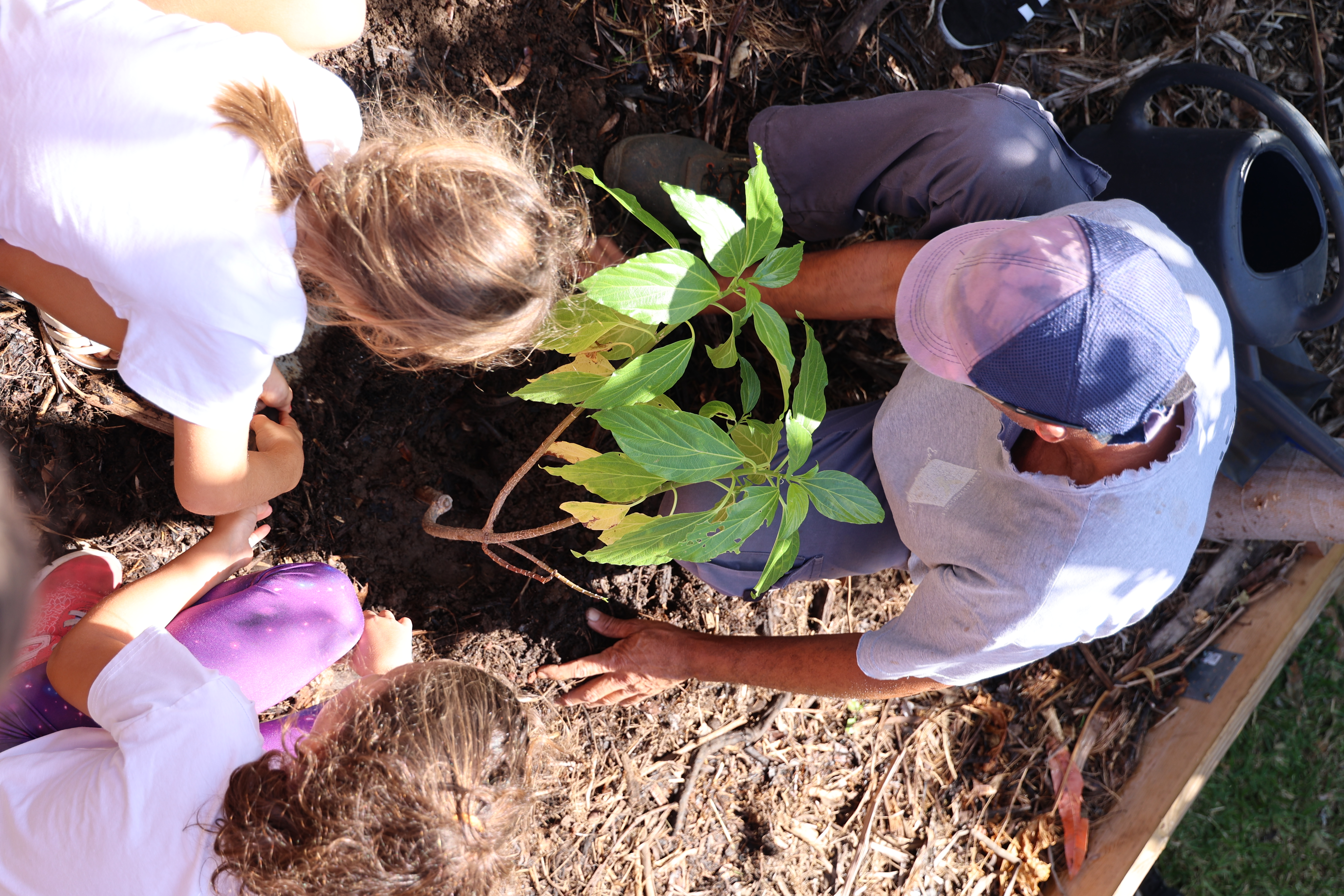 Questions/Réponses avec Raymond Lucas 