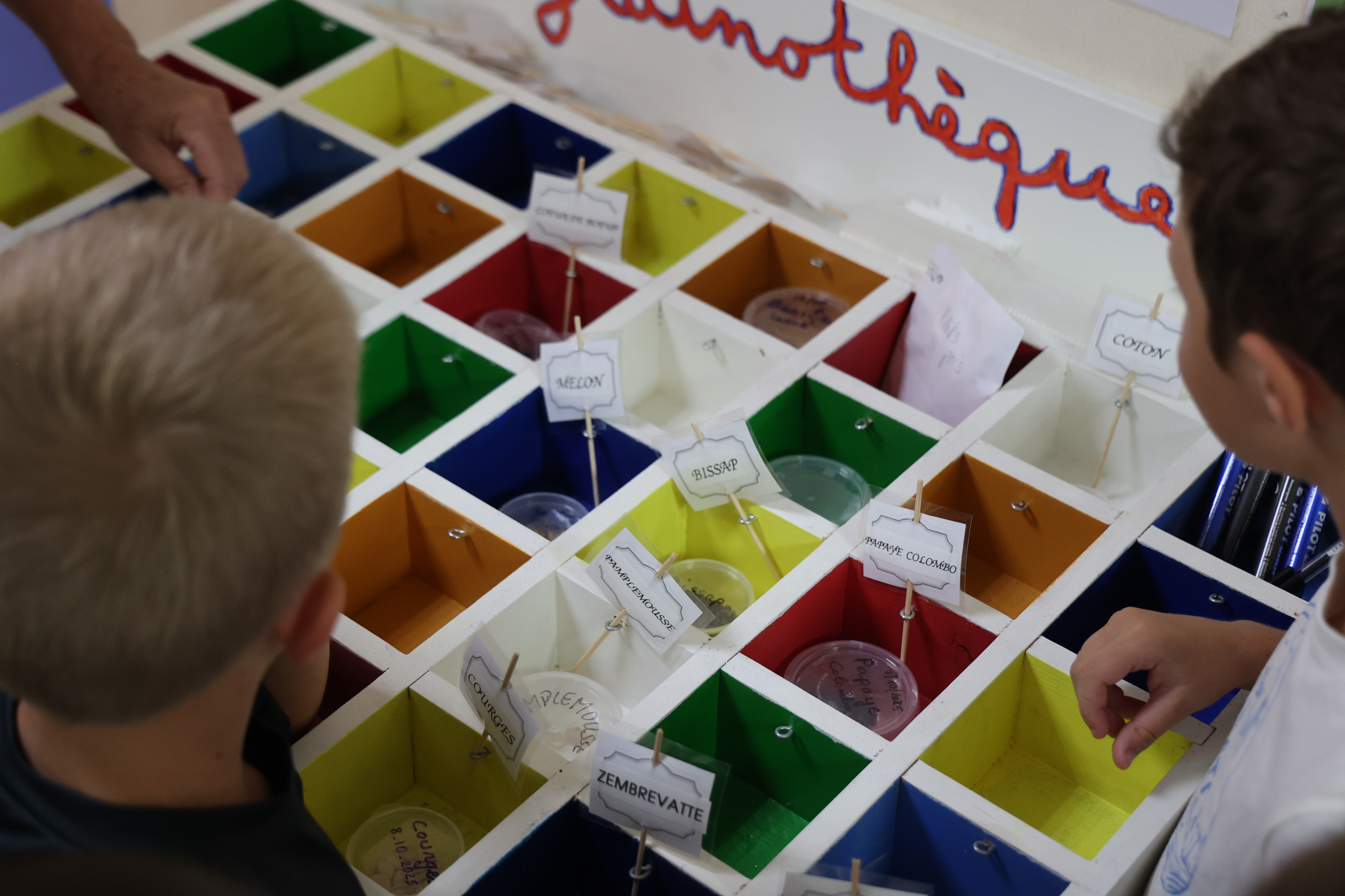 Grainothèque de la bibliothèque André Malraux 